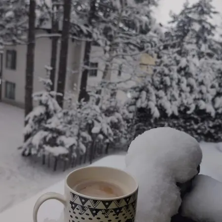 Vacaciones - Vakasiones