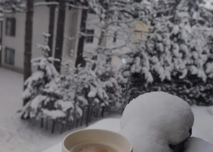 Vacaciones - Vakasiones